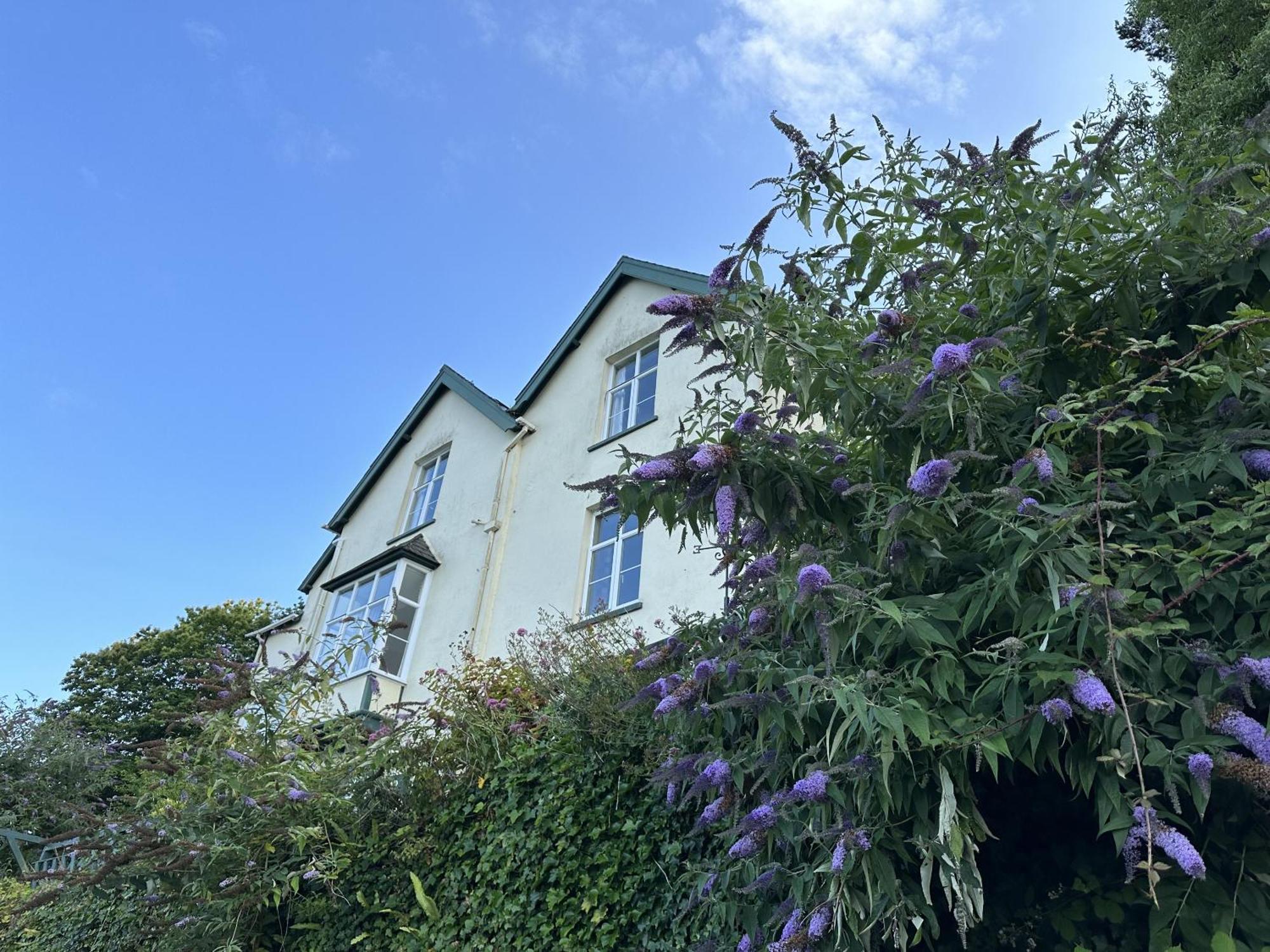 North Walk House Lynton Exterior foto